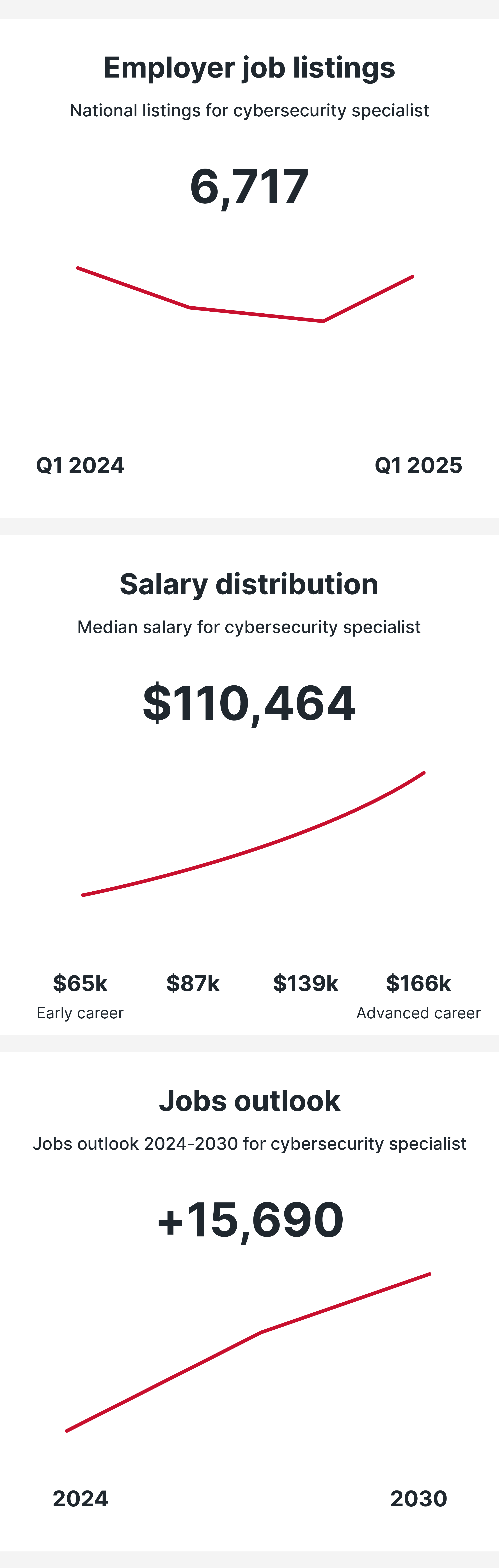 Cybersecurity Specialist