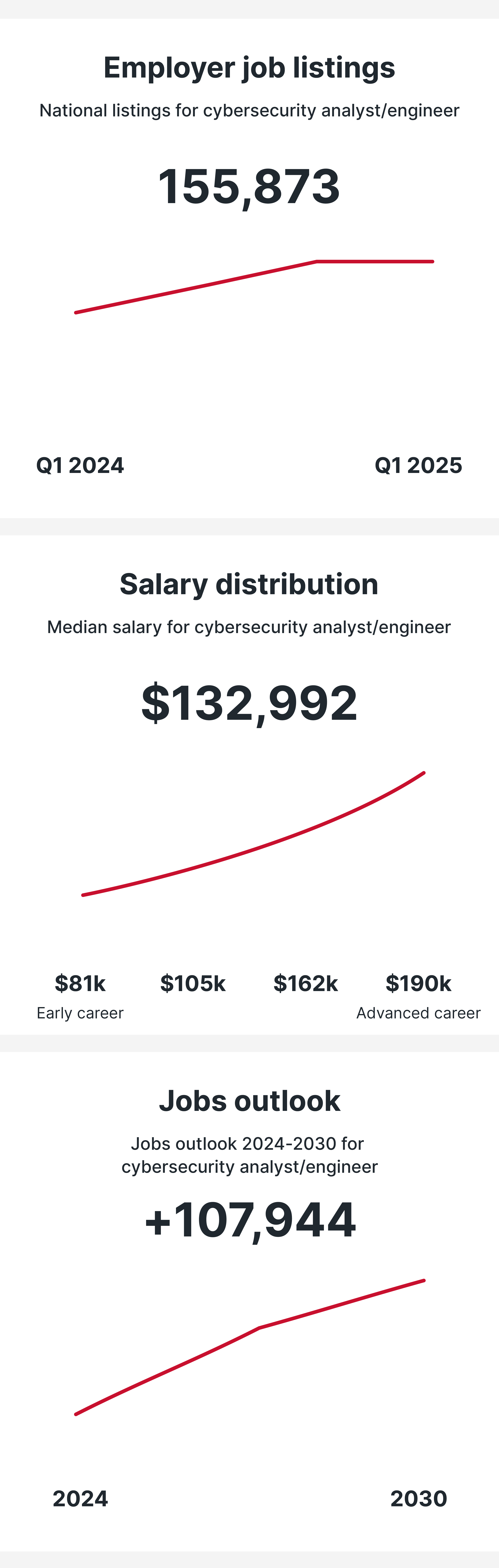 Cybersecurity Analyst