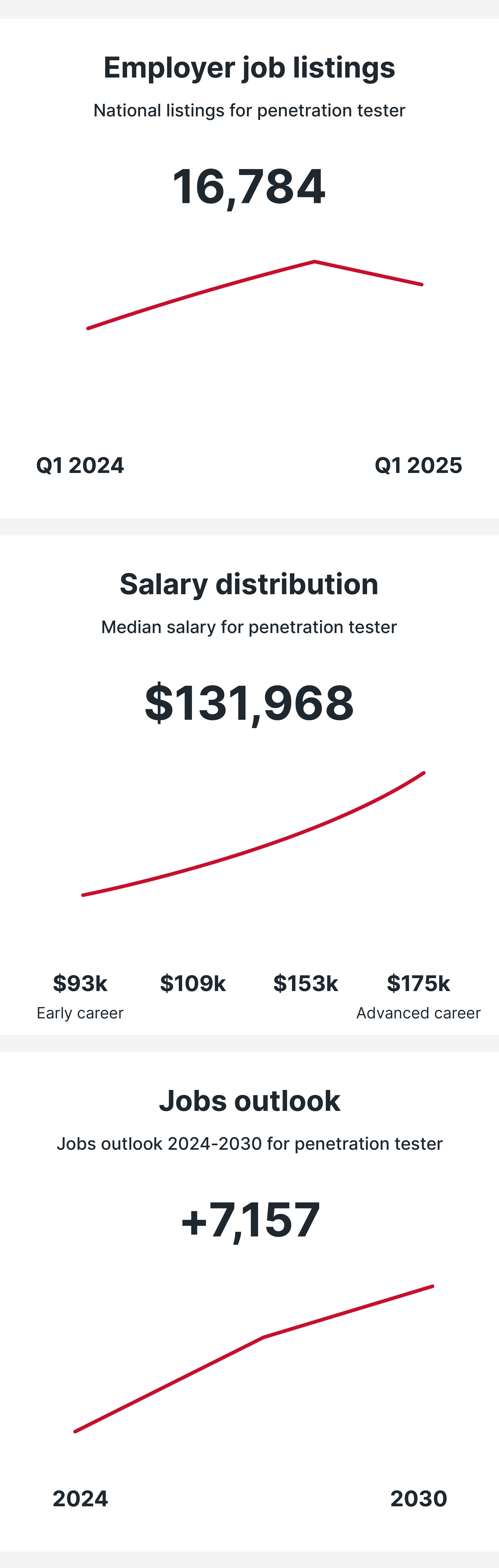 Penetration Tester