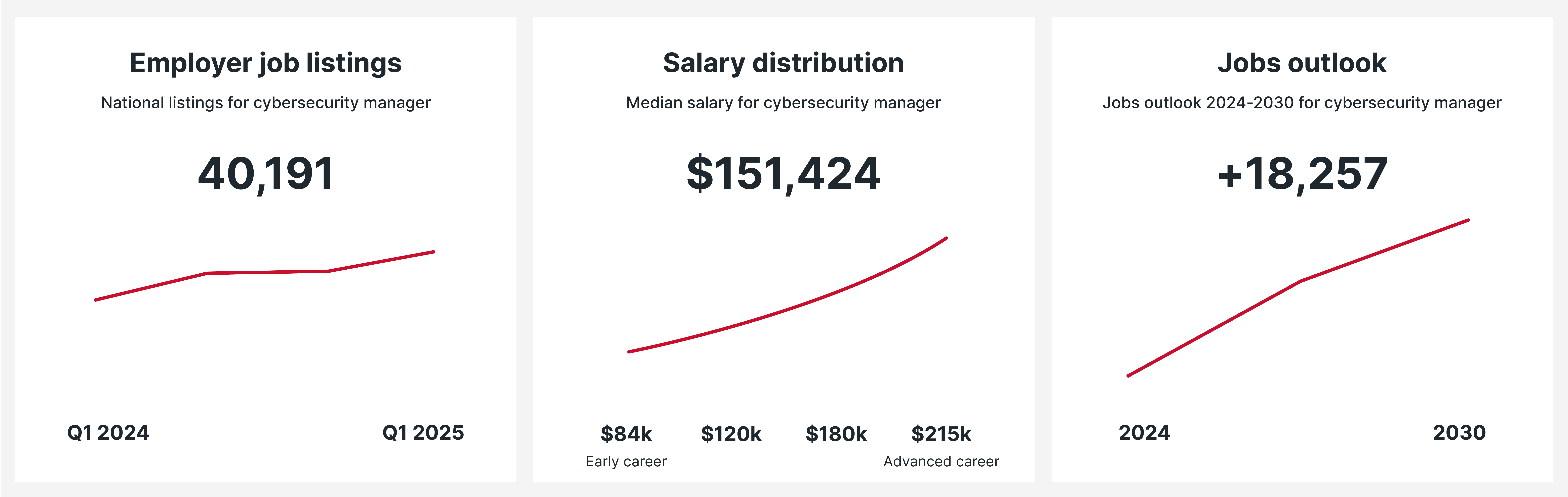 Cybersecurity Manager