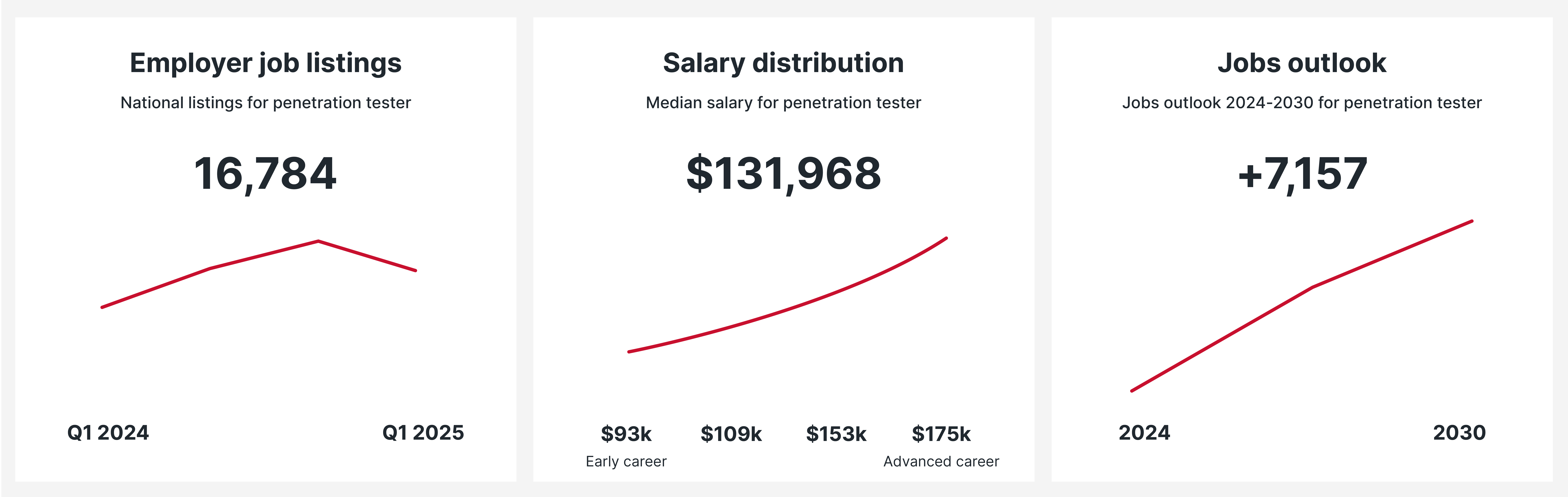 Penetration Tester