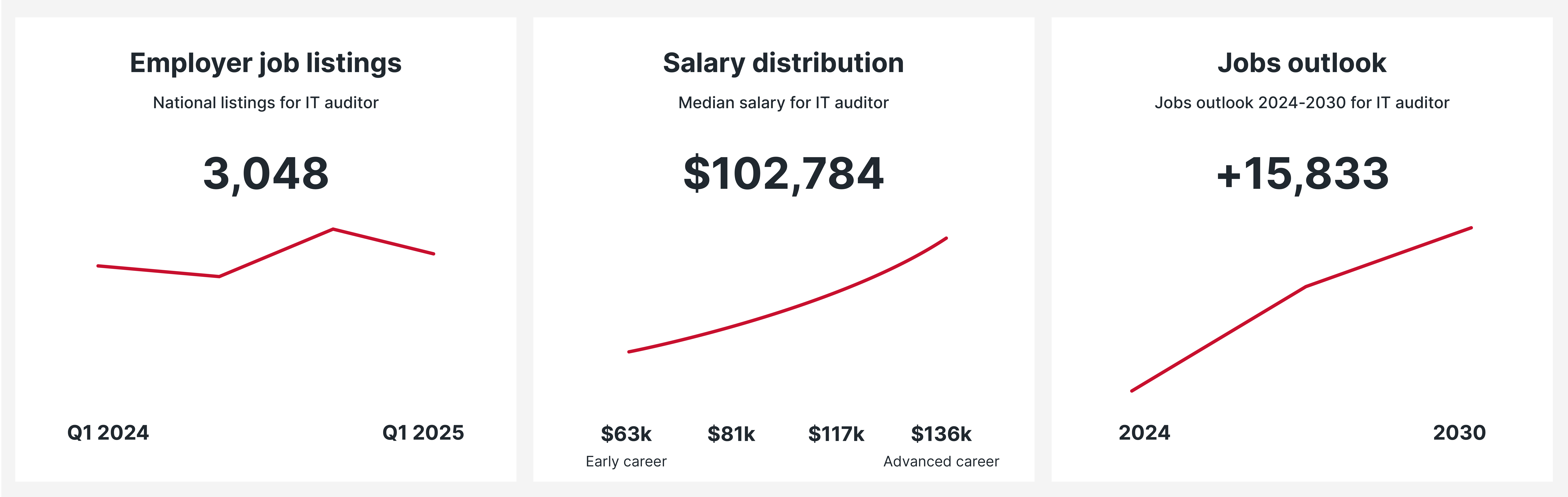 IT Auditor