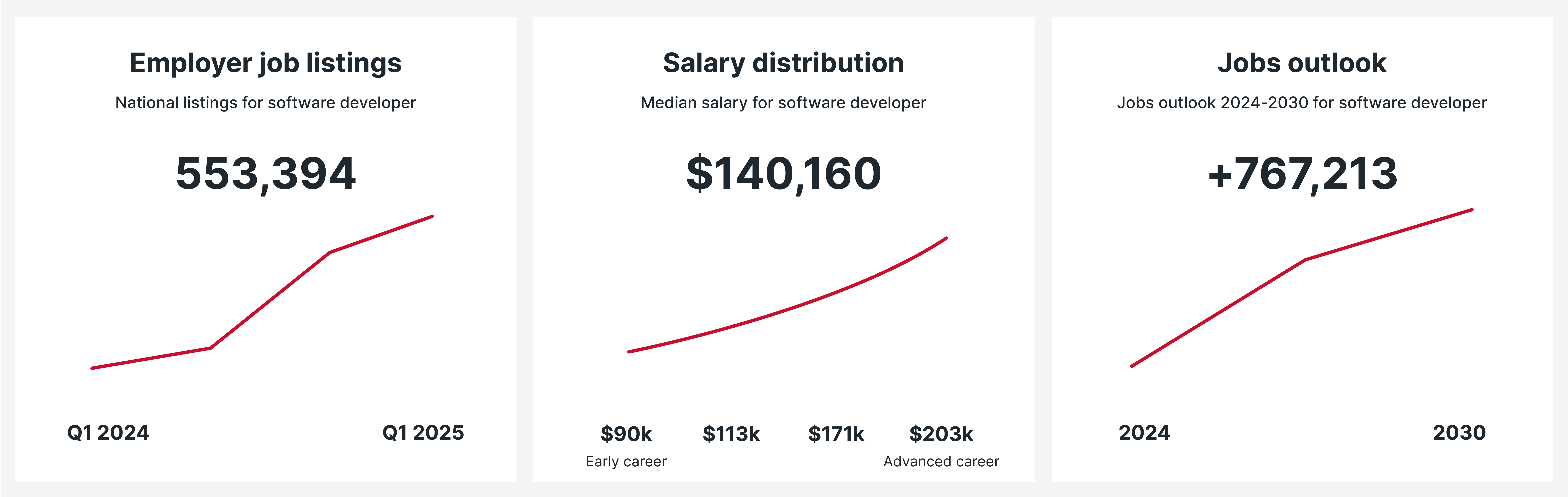 Software Developer