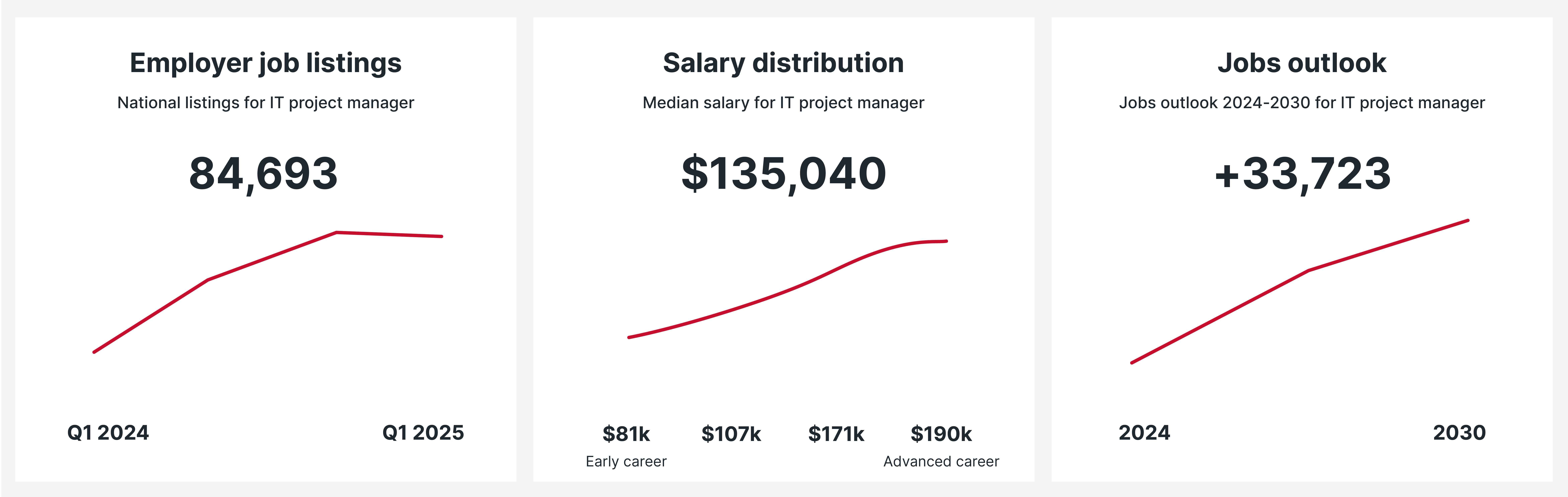 IT Project Manager