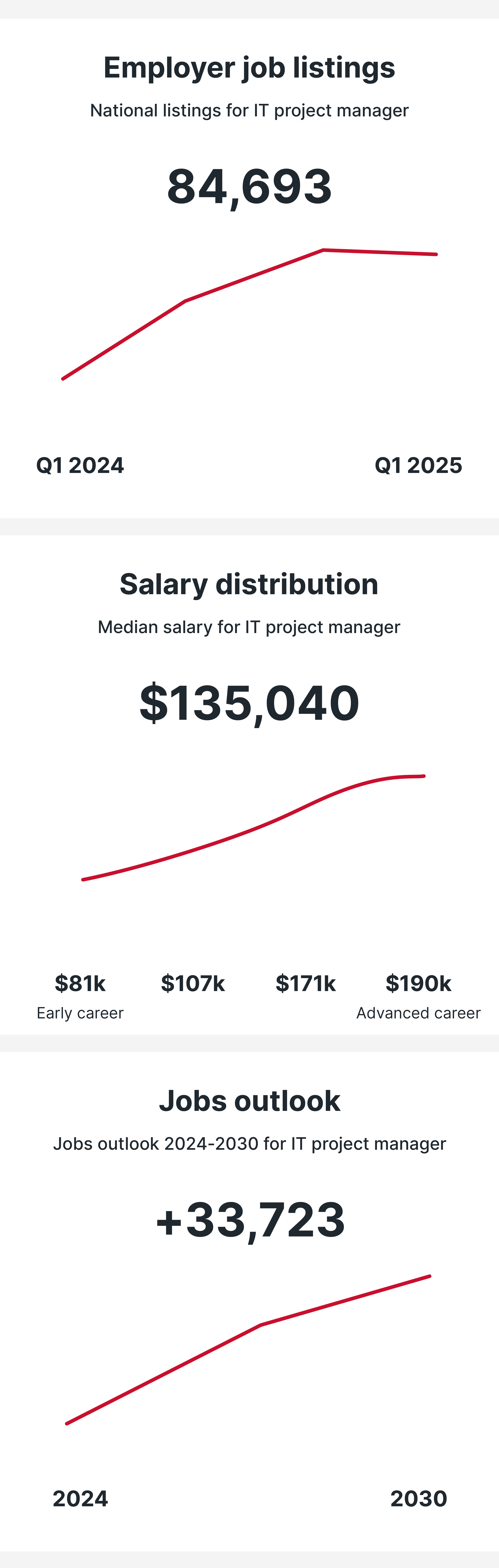 IT Project Manager