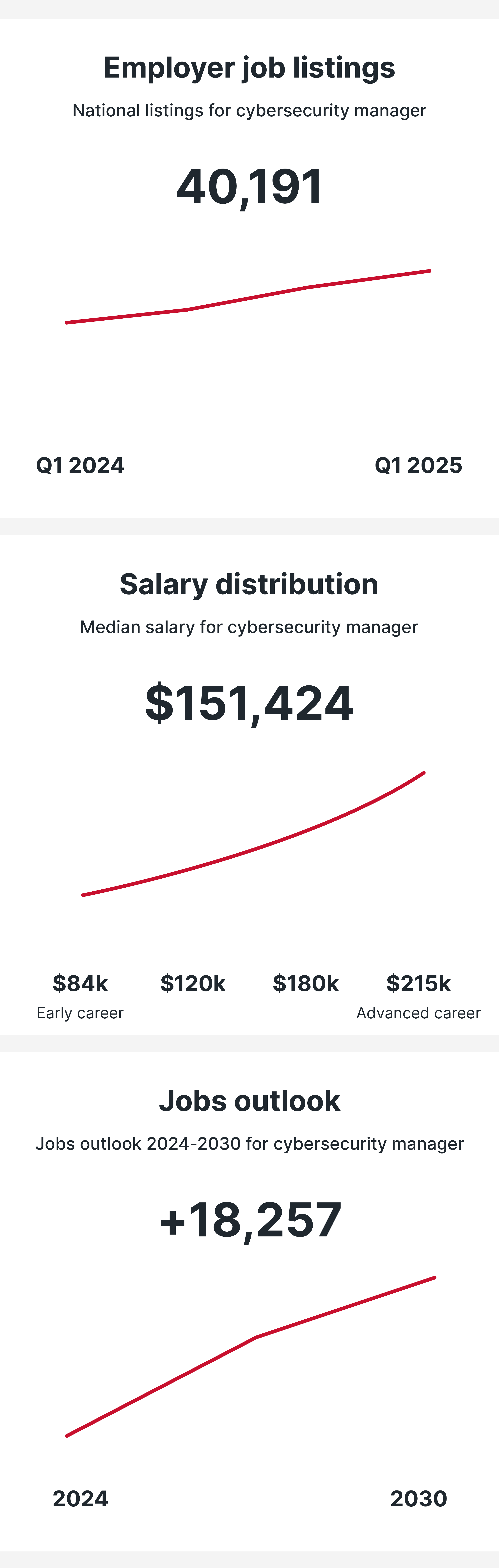 Cybersecurity Manager
