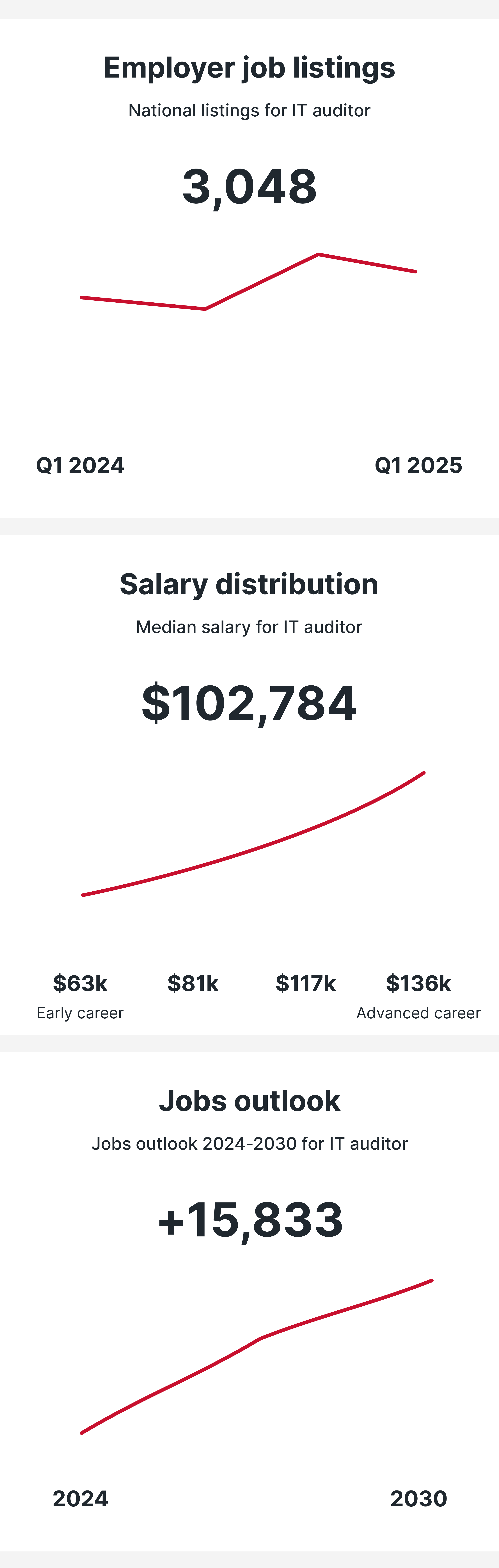 IT Auditor